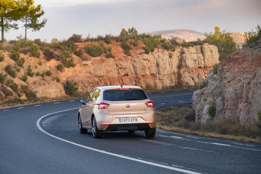  Seat Ibiza TGI 2017 года  (WW) (фото 11 из 18)
